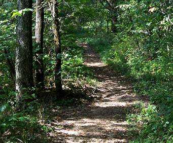 Busiek State Forest near Branson, MO