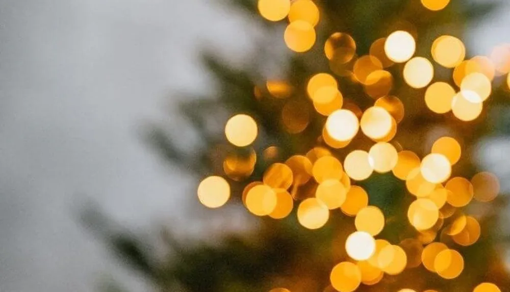 The image shows a blurred background with glowing bokeh lights that suggest a festive or holiday ambiance likely from an illuminated Christmas tree or decorative lights