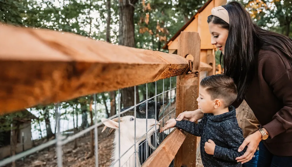 A woman and a young child are interacting with a goat at a fence in a wooded area