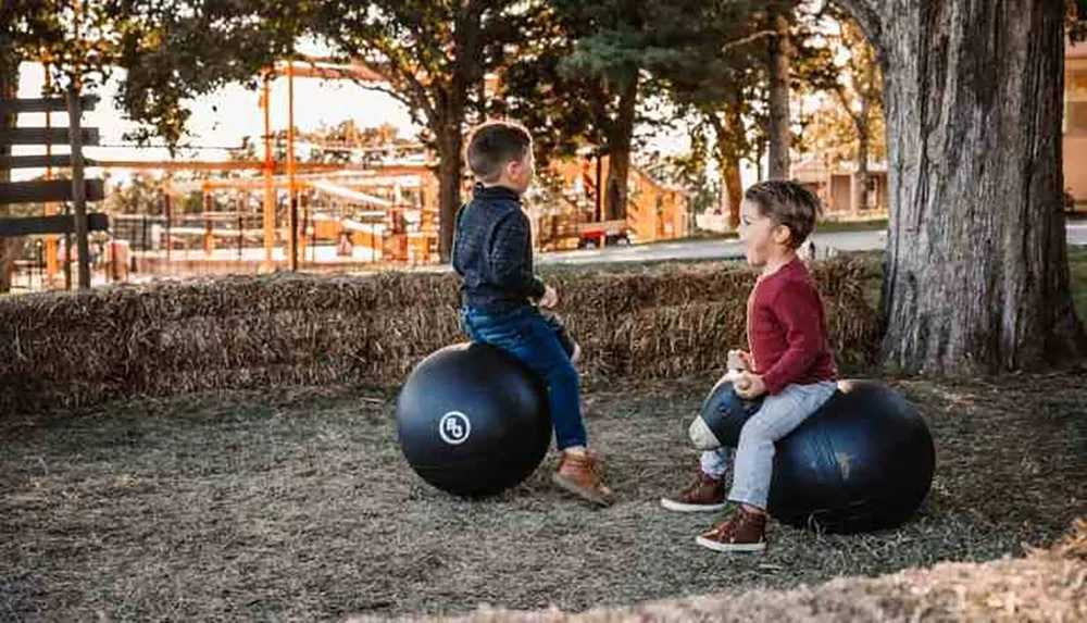 Two children are sitting on large exercise balls outdoors near a tree and haystacks with farm structures visible in the background