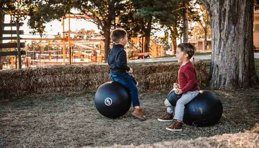 Two children are sitting on large exercise balls outdoors near a tree and haystacks, with farm structures visible in the background.