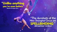 Amazing Acrobats Of Shanghai ...